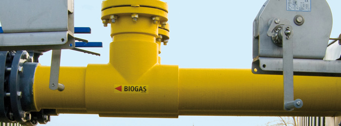 Biogas